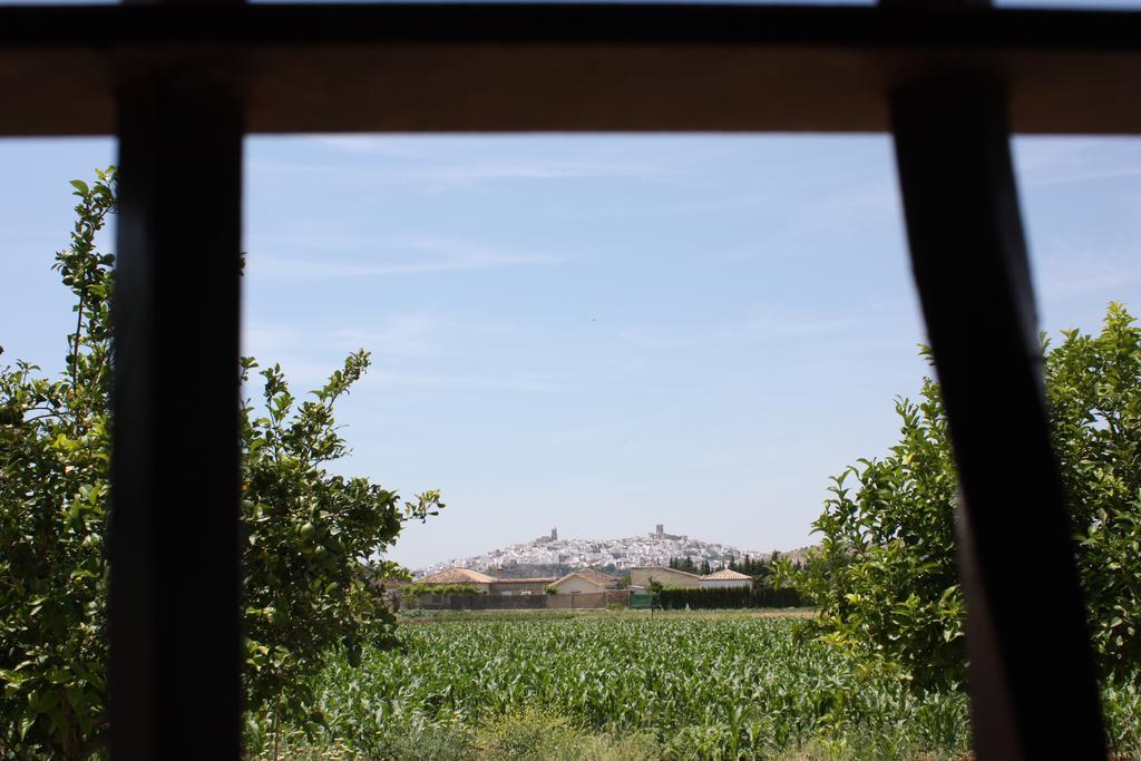 Hostal Rural La Plata Parking Incluido Arcos de la Frontera Exteriér fotografie